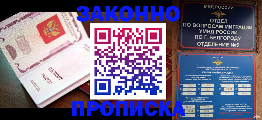 временная регистрация для школы в Тынде